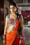 Shriya Hot Gallery - 23 of 23