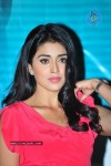 Shriya Latest Gallery - 33 of 56