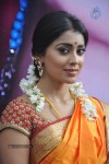 Shriya Latest Photos - 5 of 60