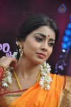 Shriya Latest Photos - 13 of 60