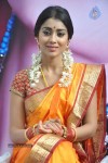 Shriya Latest Photos - 14 of 60