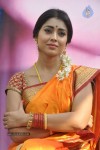 Shriya Latest Photos - 19 of 60