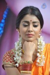 shriya-latest-photos