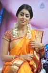 shriya-latest-photos