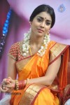 shriya-latest-photos