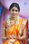 shriya-latest-photos