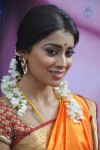 shriya-latest-photos