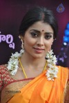 shriya-latest-photos