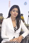 shriya-latest-photos