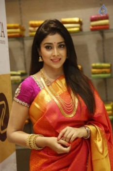 Shriya Latest Photos - 12 of 62