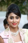 Shriya Latest Stills - 37 of 58