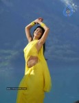 Shriya New Photo Gallery - 9 of 36
