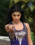 Shriya New Photo Gallery - 31 of 36