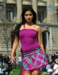 Shriya New Photo Gallery - 32 of 36