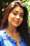 Shriya New Stills - 25 of 61