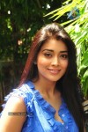 Shriya New Stills - 39 of 61