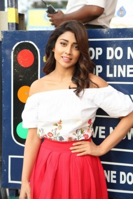 Shriya Saran Interview Photos - 12 of 15