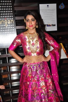 Shriya Saran New Pics - 33 of 42