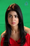 shriya-spicy-stills