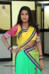 shruti-new-gallery