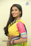 shruti-new-gallery