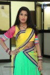 shruti-new-gallery