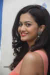 Shubra Aiyappa New Gallery - 43 of 108