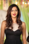 Shubra Aiyappa New Stills - 11 of 22