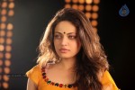 Sneha Ullal Hot Stills in Action 3D - 11 of 34