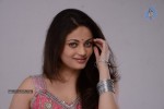 Sneha Ullal New Hot Pics - 15 of 63