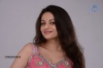 sneha-ullal-new-hot-pics