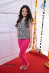 Sneha Ullal New Photos - 54 of 71