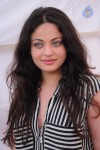 Sneha Ullal New Photos - 68 of 71