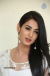 sonal-chauhan-hot-photos