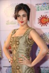 sonal-chauhan-new-stills