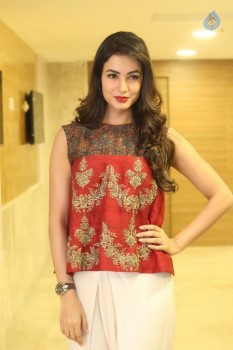 Sonal Chauhan Photos - 12 of 32