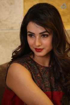 Sonal Chauhan Photos - 26 of 32