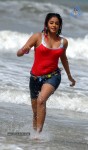 spicy-priyamani-stills