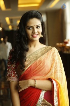 Sreemukhi Latest Images - 40 of 42