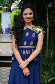 Sreemukhi New Photos - 15 of 61