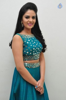 Sreemukhi New Pics - 6 of 42