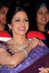 Sridevi New Stills - 14 of 47