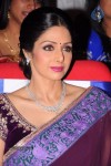 Sridevi New Stills - 16 of 47