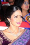 Sridevi New Stills - 20 of 47