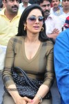 sridevi-stills