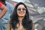 sridevi-stills