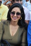 sridevi-stills