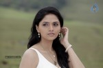 Sunaina Hot Photos - 12 of 35