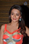 surveen-chawla-photos