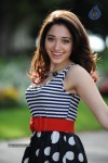Tamanna New Gallery - 12 of 73